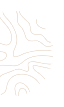Topographic Pattern